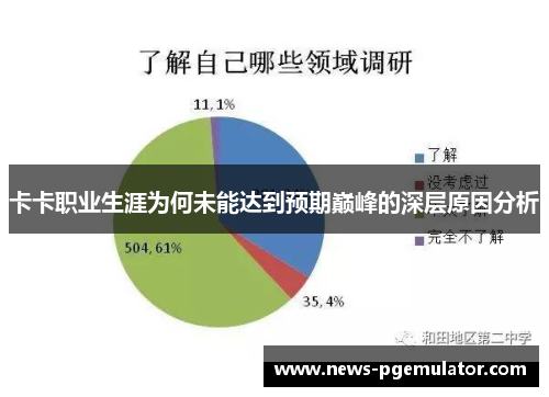 卡卡职业生涯为何未能达到预期巅峰的深层原因分析
